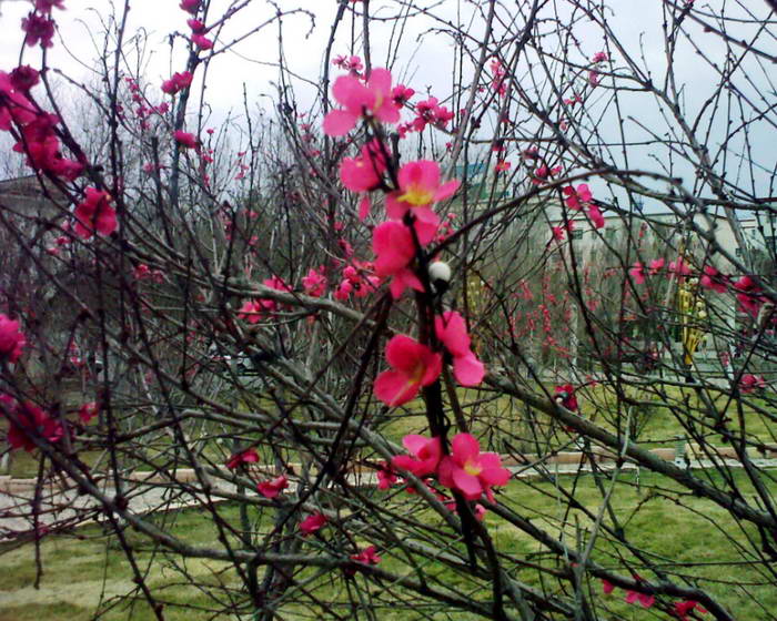 腾讯手机拍拍 for Andriod