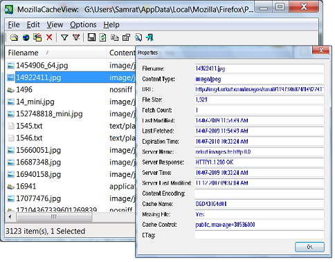 MozillaCacheView