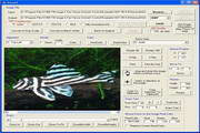 X360 Exif & Tiff Tag Viewer ActiveX OCX段首LOGO