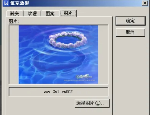 wps office,wps office最新下载
