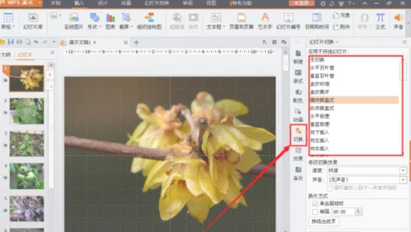 wps office,wps office最新下载