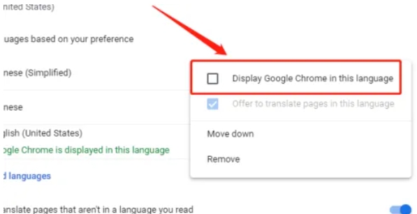 谷歌浏览器,谷歌浏览器最新下载