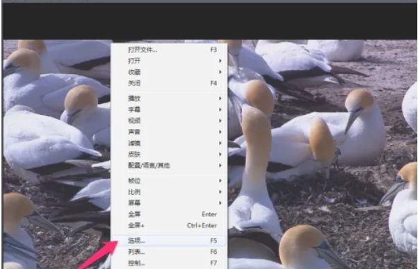 potplayer,potplayer最新下载