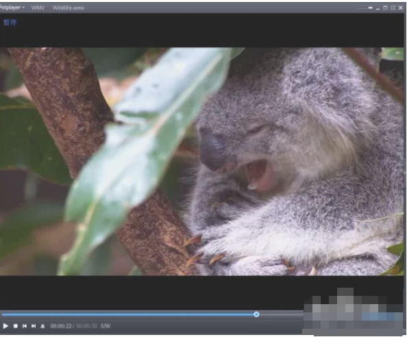 potplayer,potplayer最新下载