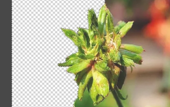 photoshop,photoshop最新下载