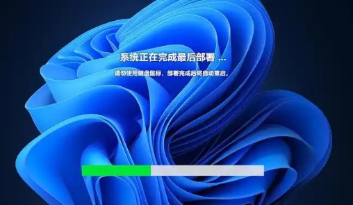 微软Win11旗舰版