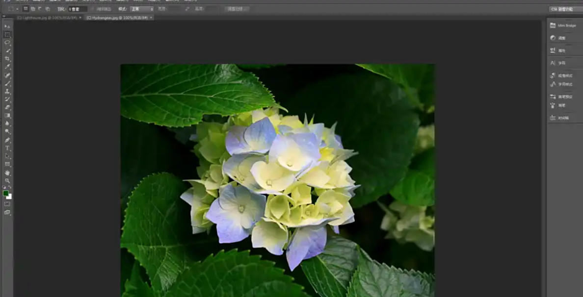 Photoshop CS6,Photoshop CS6下载