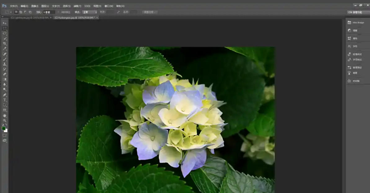 Photoshop CS6,Photoshop CS6下载
