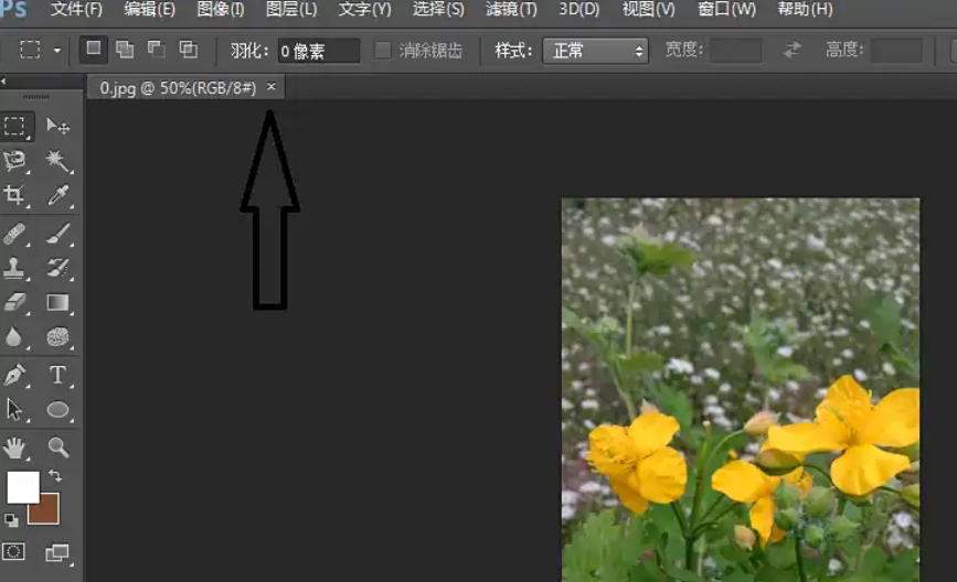 Photoshop CS6,Photoshop CS6下载