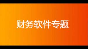 财务软件专题