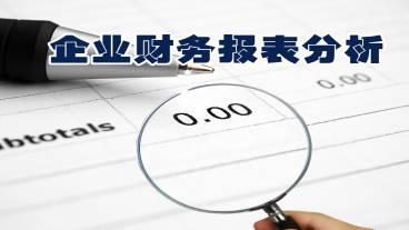 财务报表分析大全