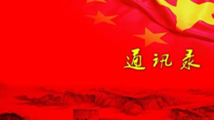 电子通讯录专题