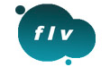FLV Player段首LOGO