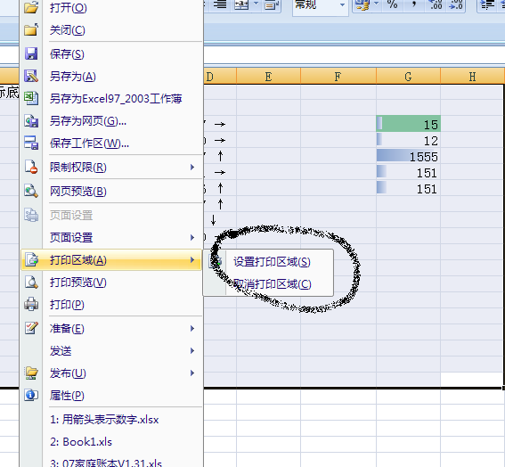 Excel 2007截图