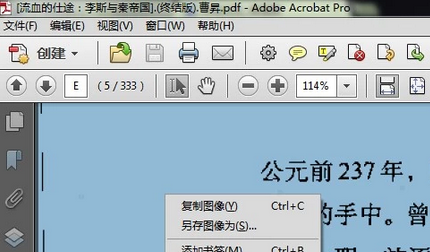 Acrobat Pro 9截图