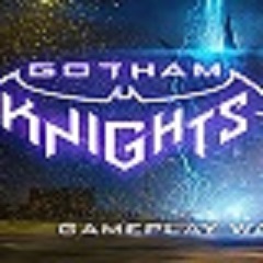 蝙蝠侠：哥谭骑士