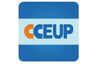 中能联合段首LOGO