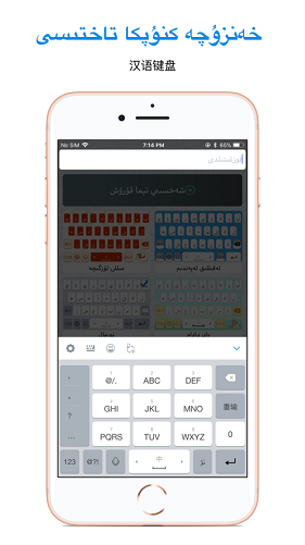 Uyghurche Kirguzguch 维语输入法