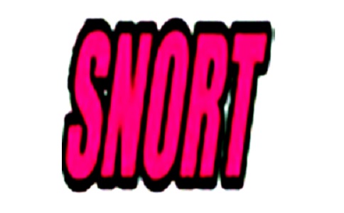 Snort段首LOGO