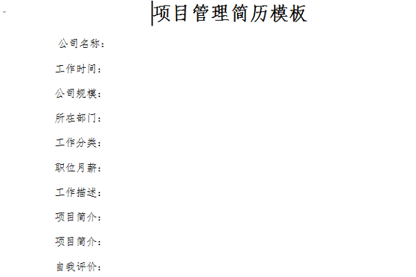 项目管理简历模板