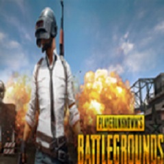 绝地求生:大逃杀