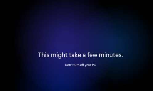 windows11 64位纯净版截图