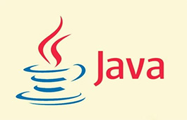 Sun Java SE Development Kit (JDK)段首LOGO