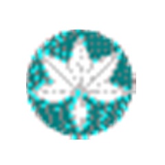 枫叶美食大战老鼠辅助