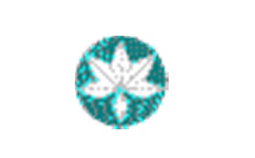 枫叶美食大战老鼠辅助段首LOGO