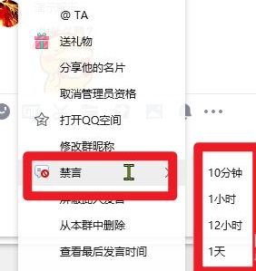 qq绿色版免安装版截图