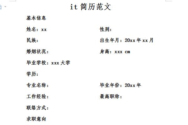 it简历模板范文