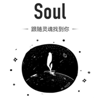 soul 电脑版