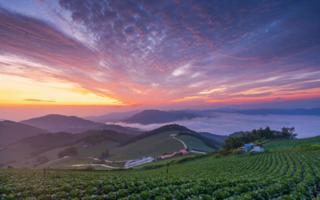 微软锁屏画报截图