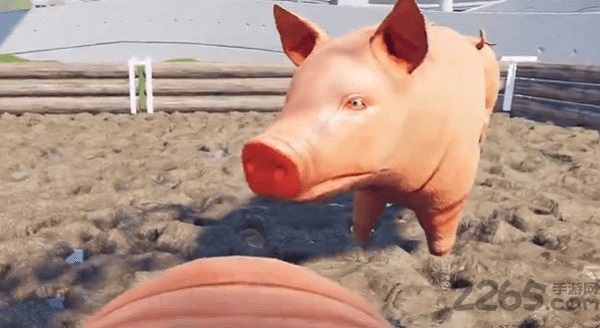 小猪模拟器