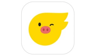 飞猪旅行电脑版段首LOGO