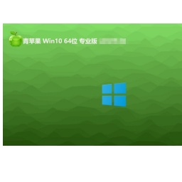 青苹果 Ghost Win10 64位专业装机版