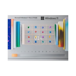 Windows11 22H2 64位 专业工作站版