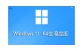 Windows 11 23H2 64位 稳定版段首LOGO