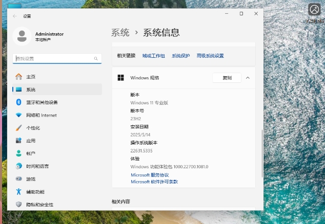 Windows11 23H2 22631.5335 X64截图