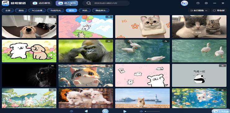 哇叽动态壁纸截图