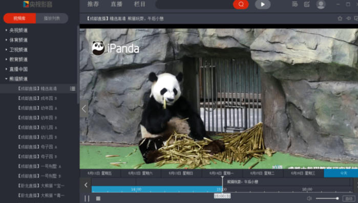 cctv视频截图