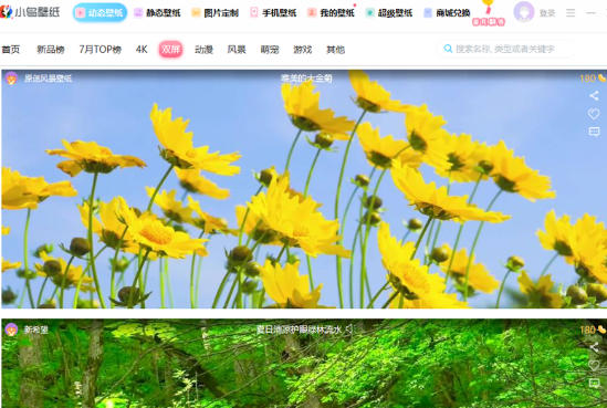 小鸟动态壁纸截图