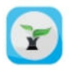 雨林木风一键重装系统