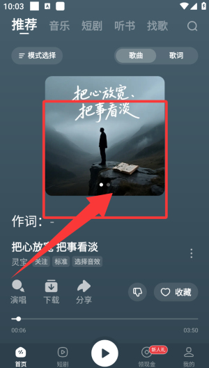 番茄畅听音乐版截图