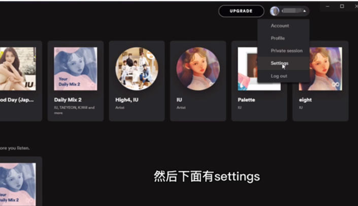 spotify截图