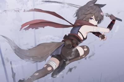 Illusive Domain段首LOGO