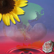 真爱心灵成长音乐(Love∞Earth)