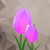 色彩大师专业版