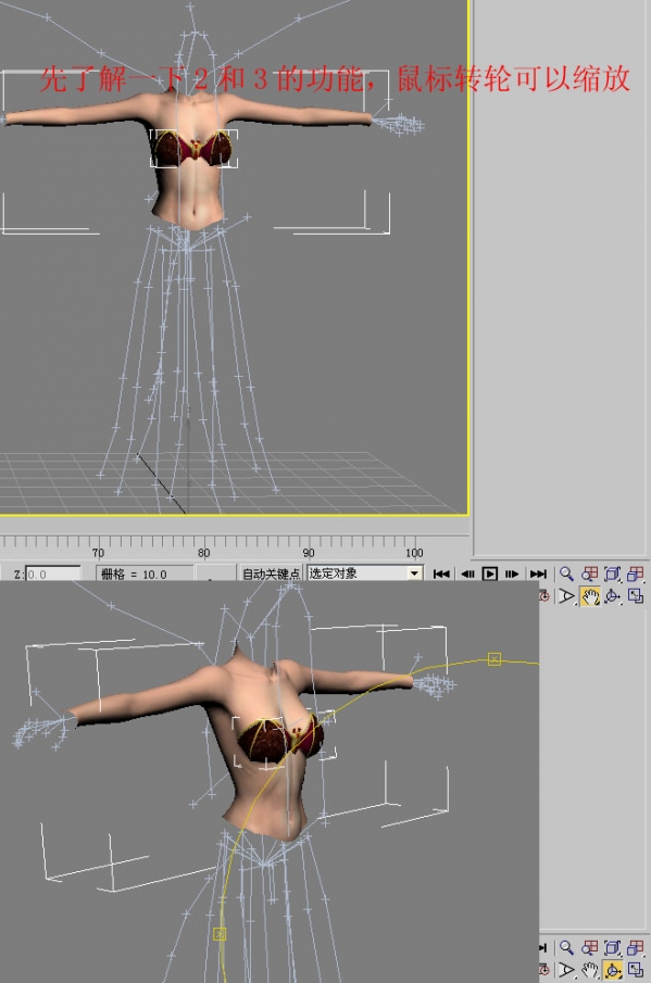 3dmax2016 nif插件 3dmax2016 nif插件截图