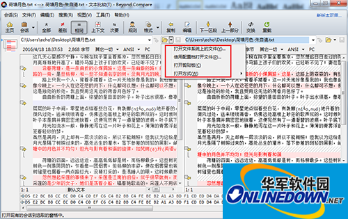 Beyond Compare 4文本比较要注意哪些细节
